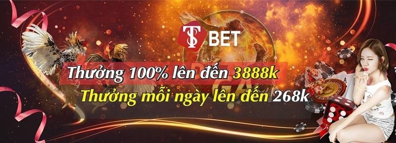 Hướng dẫn cách tải app T8BET thành công cho các chiến binh