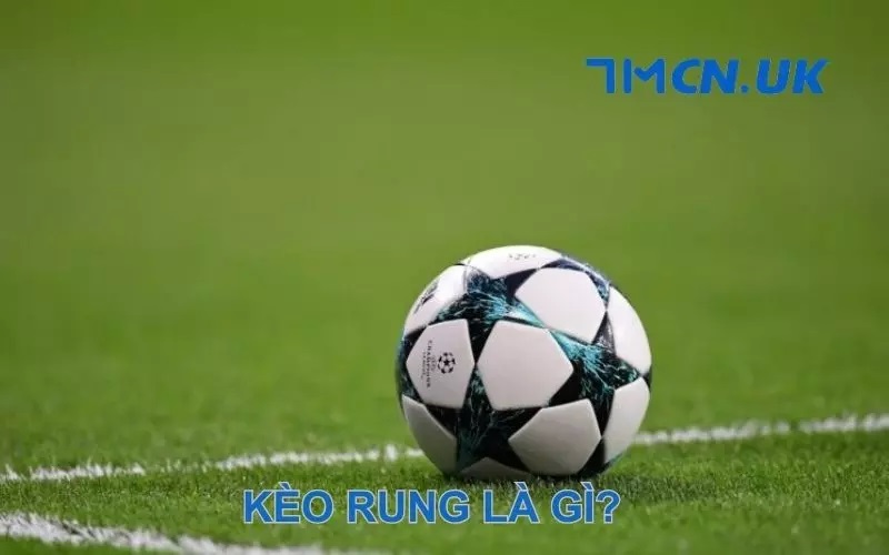 Kèo Rung Là Gì? Cách Đặt Kèo Rung Sao Cho Hiệu Quả