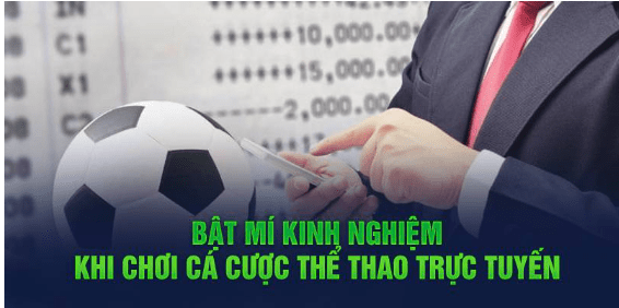 Bật mí kinh nghiệm khi chơi cá cược thể thao Shbet trực tuyến