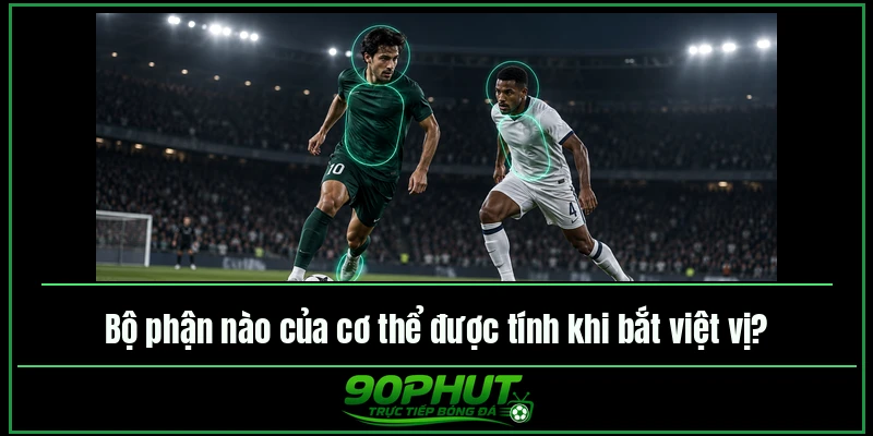Bộ phận nào của cơ thể được tính khi bắt việt vị