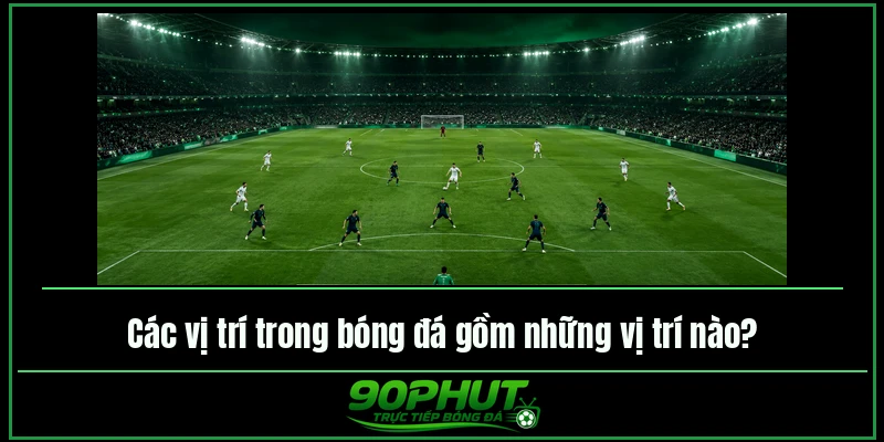 Các vị trí trong bóng đá gồm những vị trí nào